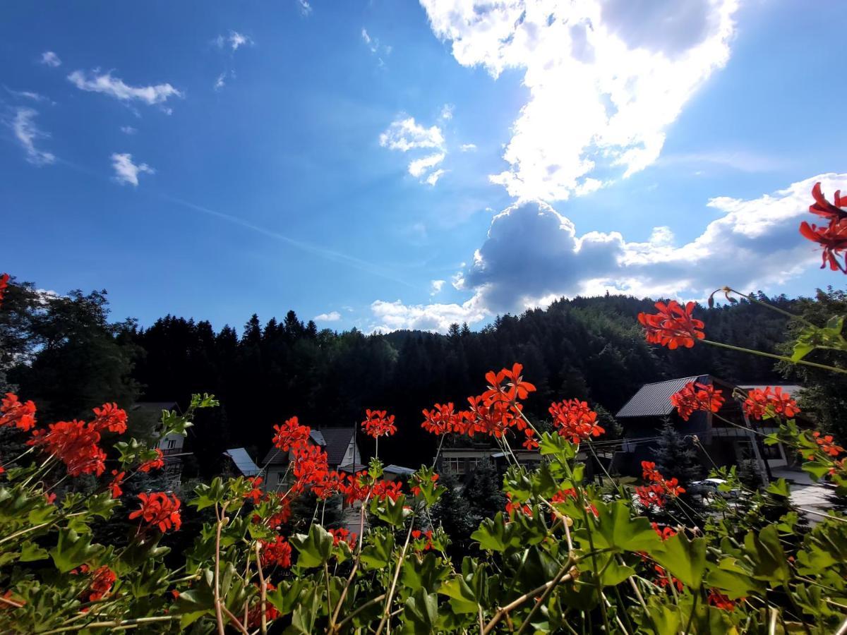 Lesny Dwor Piwniczna-Zdroj