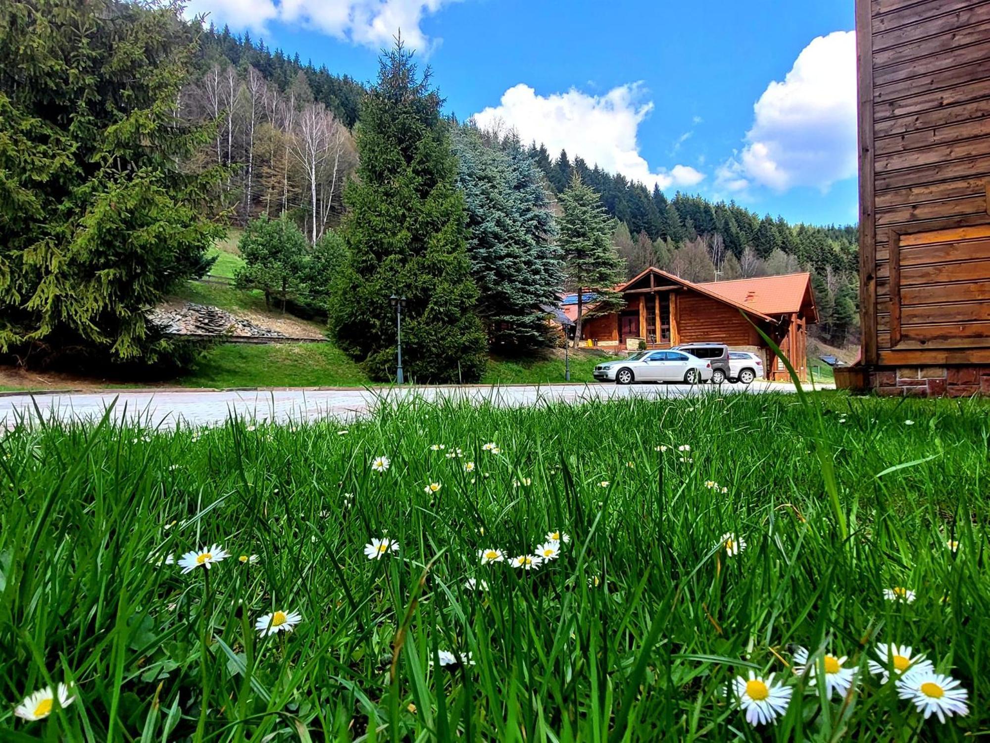 Bed & Breakfast Lesny Dwor